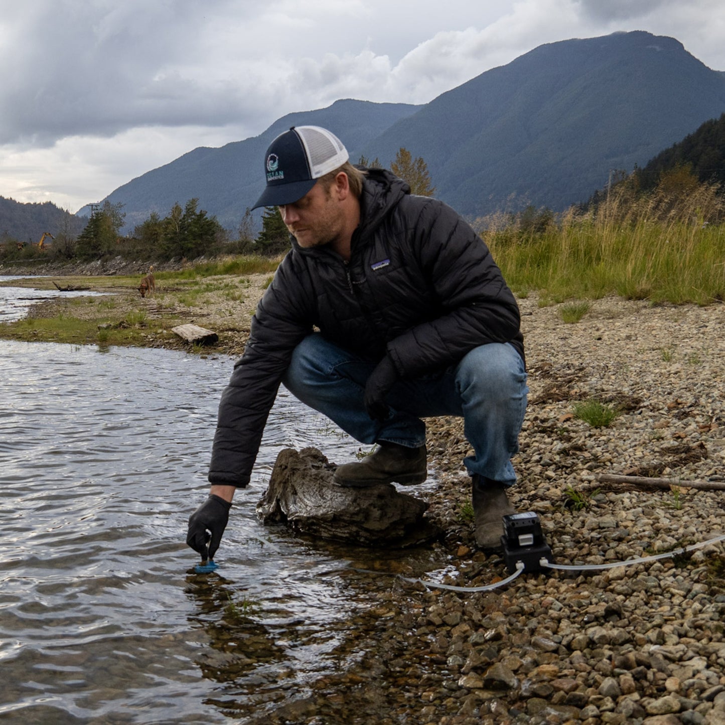 Environmental DNA (eDNA) Surface Sampler